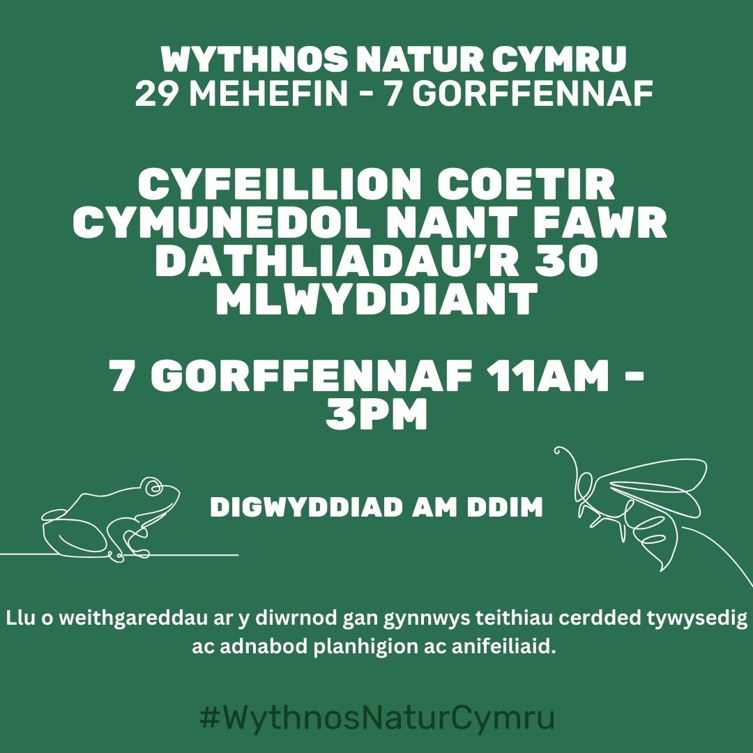 Cyfeillion Coetir Cymunedol Nant Fawr 